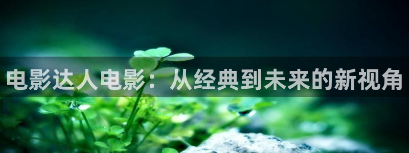 西瓜欧美影院：电影达人电影：从经典到未来的新视角