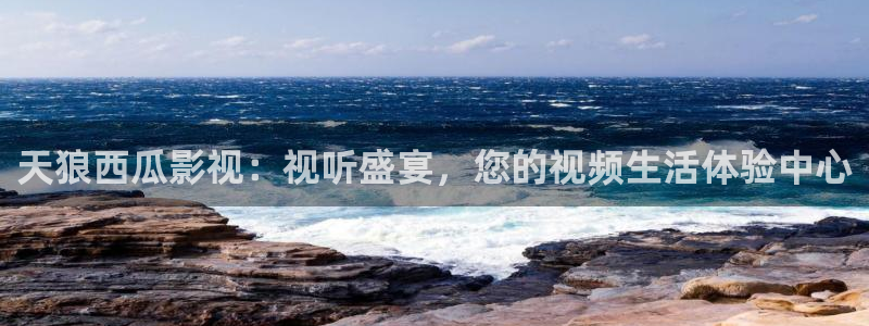 玫瑰的故事电视剧免费观看西瓜影院：天狼西瓜影视：视听盛宴，您的视频生活体验中心