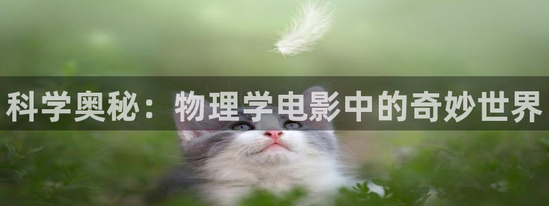 西瓜电影电视剧在线观看：科学奥秘：物理学电影中的奇妙世界