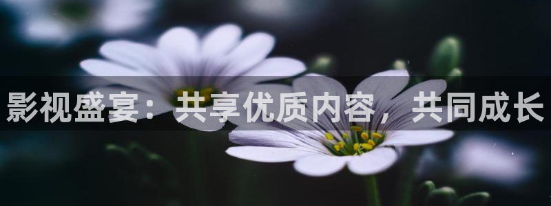 马大帅1全集免费观看在线西瓜：影视盛宴：共享优质内容，共同成长
