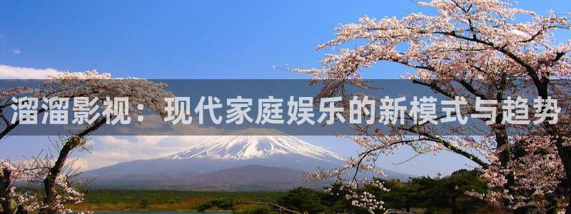 双面胶电视免费观看西瓜：溜溜影视：现代家庭娱乐的新模式与趋势