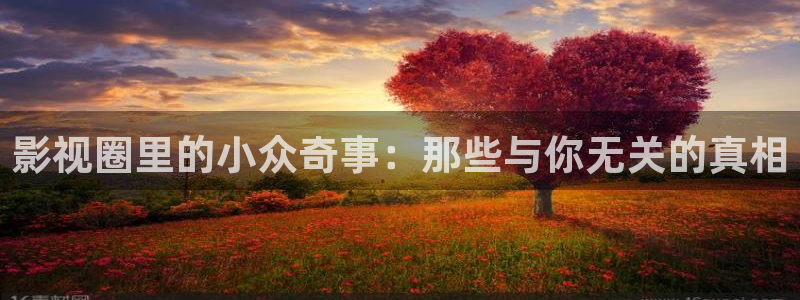 理论片西瓜影院电影：影视圈里的小众奇事：那些与你无关的真相