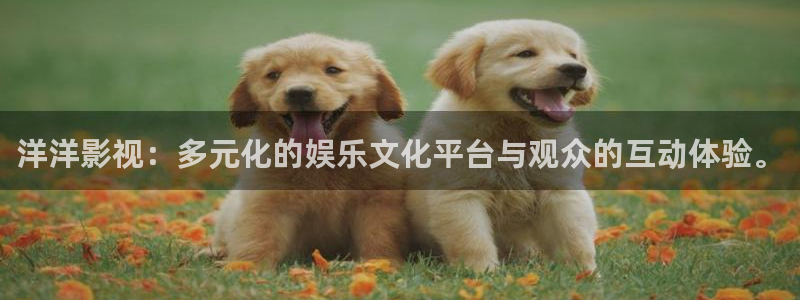 西瓜网在线观看免费：洋洋影视：多元化的娱乐文化平台与观众的互动体验。
