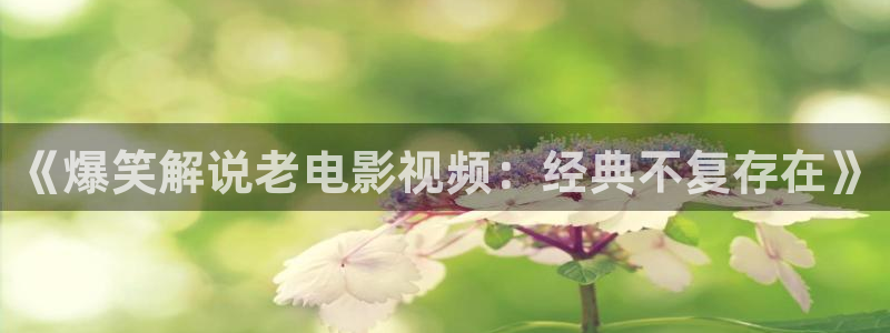 情不自禁电视剧免费观看西瓜