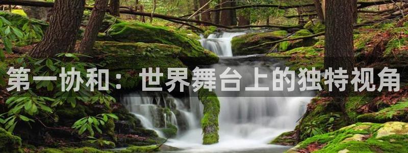免费观看西瓜：第一协和：世界舞台上的独特视角