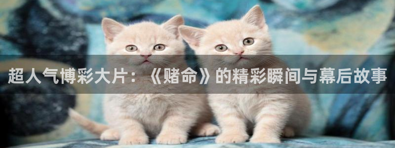 乔家的儿女免费观看西瓜：超人气博彩大片：《赌命》的精彩瞬间与幕后故事