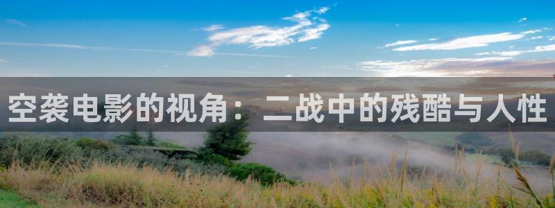武清西瓜：空袭电影的视角：二战中的残酷与人性
