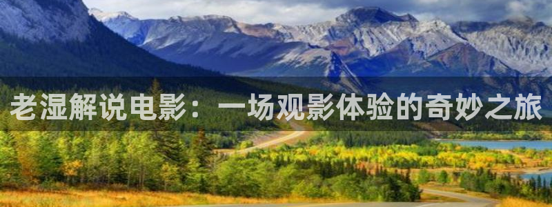 闪亮的西瓜在线免费观看：老湿解说电影：一场观影体验的奇妙之旅