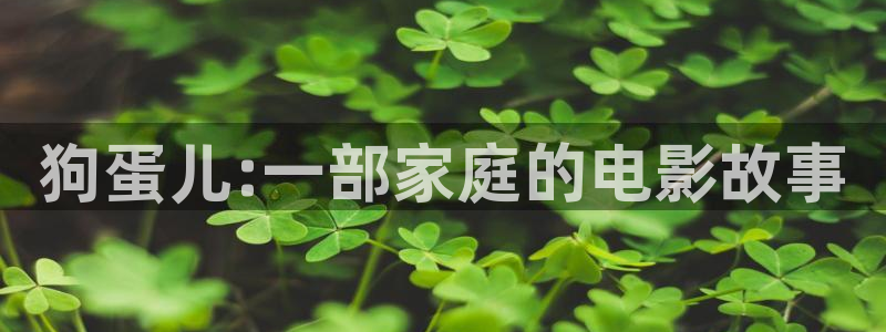野西瓜片