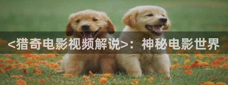 少年白马醉春风西瓜影院