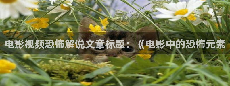华丽的外出 西瓜影院