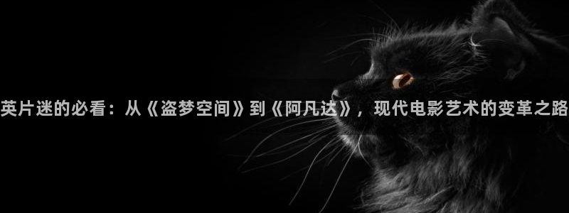 不惑之旅免费观看西瓜