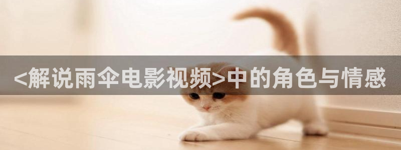 西瓜影院免费观看国产电视剧