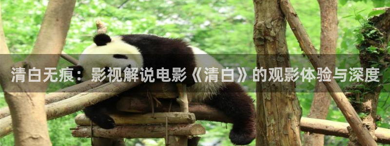伦理西瓜影院