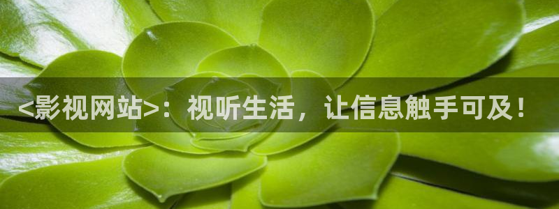 西瓜影视网免费观看