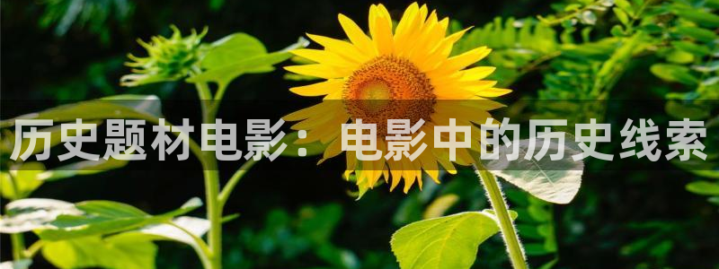 .西瓜影院