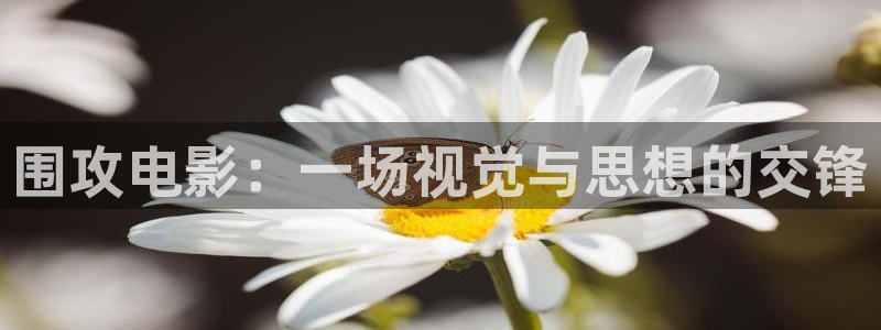 西瓜大兴：围攻电影：一场视觉与思想的交锋