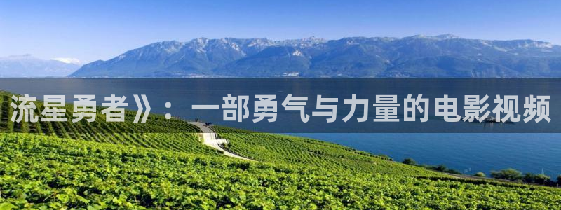 鬼咬鬼在线观看西瓜：流星勇者》：一部勇气与力量的电影视频