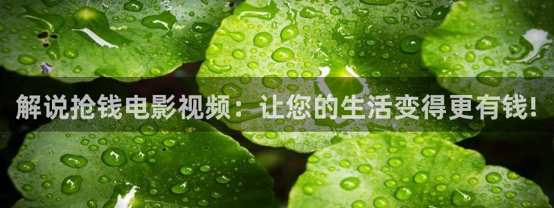如巴黎不快乐电视剧免费观看西瓜：解说抢钱电影视频：让您的生活变得更有钱!
