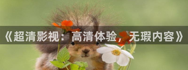 玫瑰的故事西瓜免费观看完整版：《超清影视：高清体验，无瑕内容》