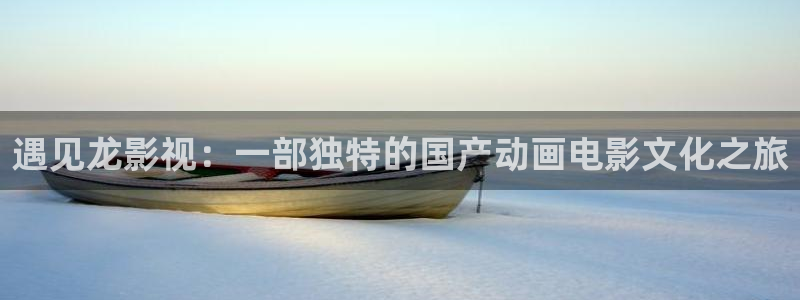 情事西瓜影院：遇见龙影视：一部独特的国产动画电影文化之旅