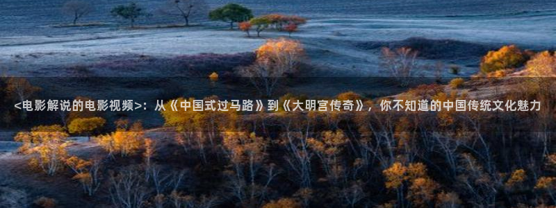 肉嫁高柳家西瓜影院：<电影解说的电影视频>：从《中国式过马路》到《大明宫传奇》，你不知道的中国传统文化魅力