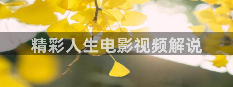西瓜影院在线午夜理论：精彩人生电影视频解说