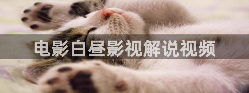 下载西瓜视频.：电影白昼影视解说视频