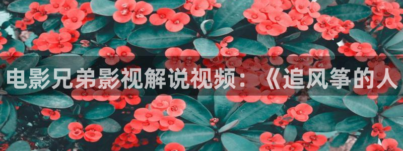 哈尔的移动城堡国语免费观看西瓜：电影兄弟影视解说视频：《追风筝的人