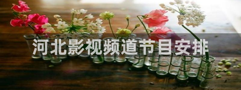 西瓜网私人影院：河北影视频道节目安排