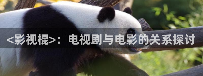 日本妈妈西瓜影院：<影视棍>：电视剧与电影的关系探讨