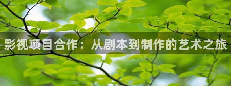 极限挑战宝藏行免费观看完整版西瓜：影视项目合作：从剧本到制作的艺术之旅