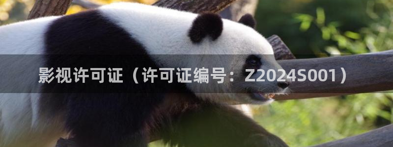 我的莫格利男孩在线观看免费完整版西瓜：影视许可证（许可证编号：Z2024S001）