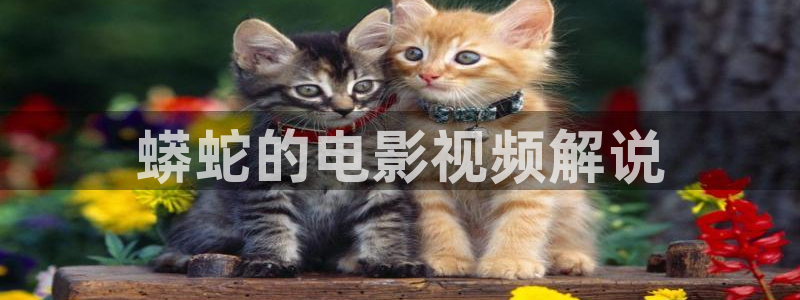 面具40集免费观看西瓜影院：蟒蛇的电影视频解说