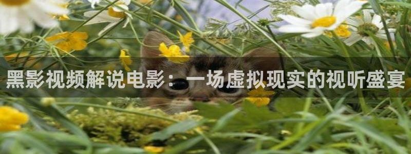 我可能遇到了救星免费观看西瓜