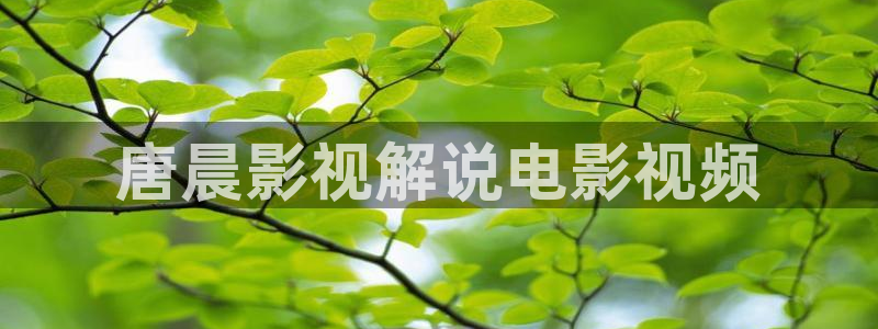 西瓜老师：唐晨影视解说电影视频