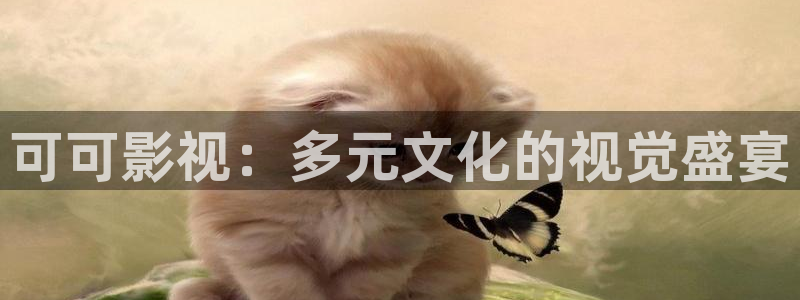 91西瓜影院：可可影视：多元文化的视觉盛宴