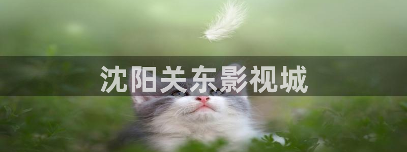 西瓜全集免费观看：沈阳关东影视城