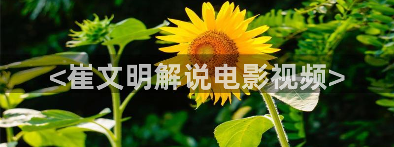秋霞电影网西瓜：<崔文明解说电影视频>
