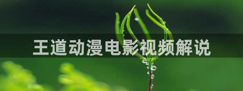 西瓜影院在线影音：王道动漫电影视频解说