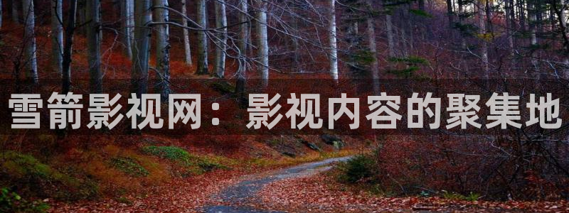 西瓜影院在线观看免费高清电视剧我：雪箭影视网：影视内容的聚集地