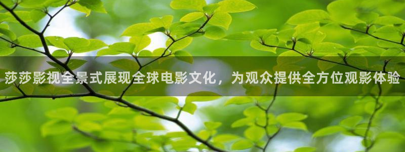 西瓜影院电影免费在线看完整版