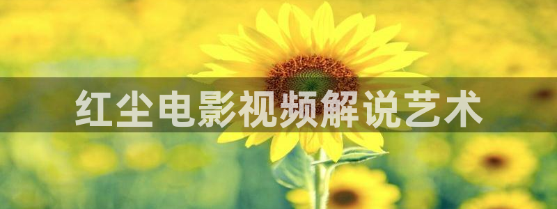 西瓜电影.