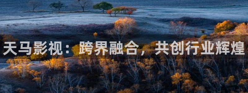 西瓜机