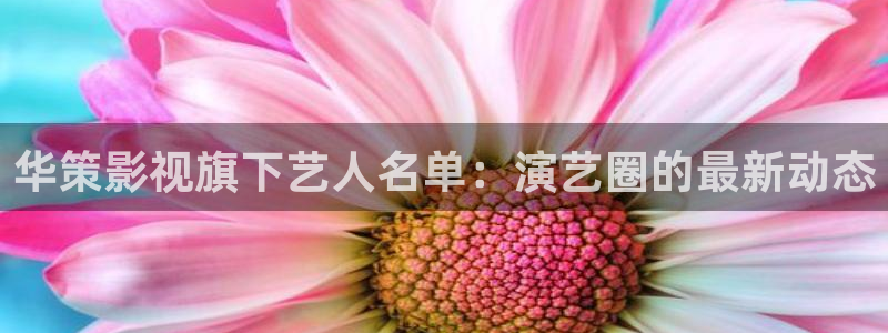 棋士24集免费观看西瓜