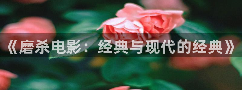 睡美人免费观看完整版西瓜