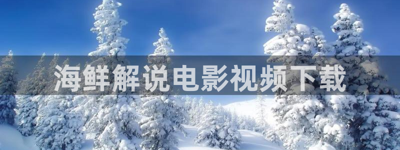 琉璃在线观看完整版免费全集西瓜