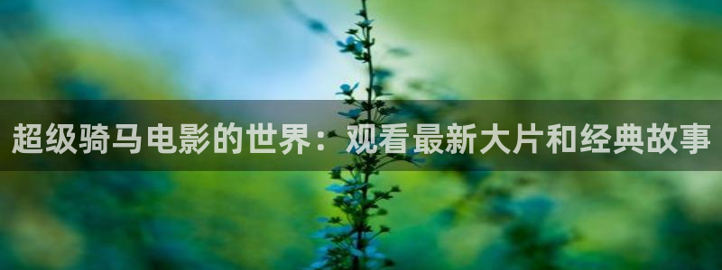 西瓜视频l