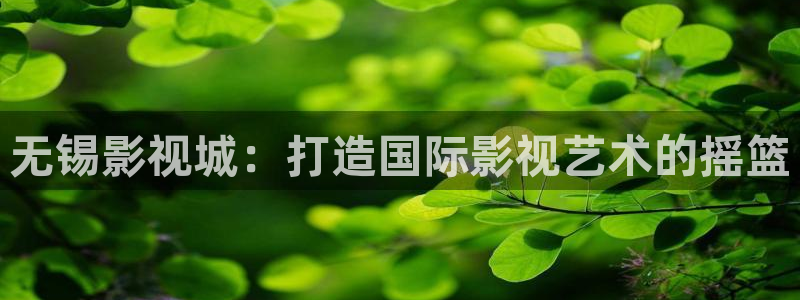 西瓜午夜电影网