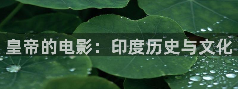 西瓜影院网站